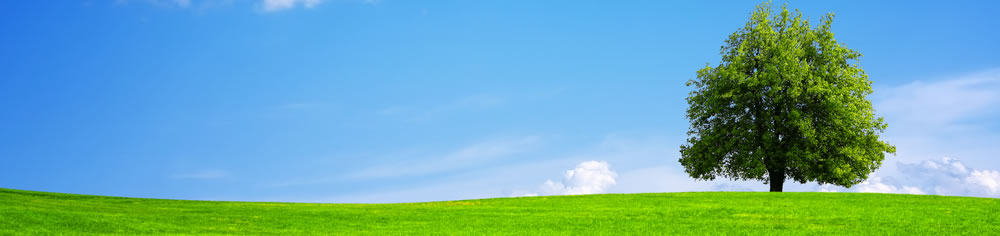 Training and Consultancy in safeguarding, child protection and safer recruitment